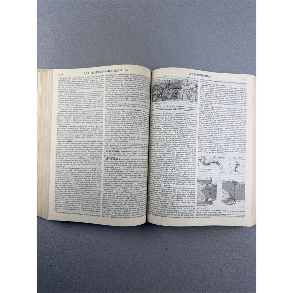 Vintage Encyclopedia Britannica Replacement Volume 2 Gold Antartica Balfe - Picture 9 of 13